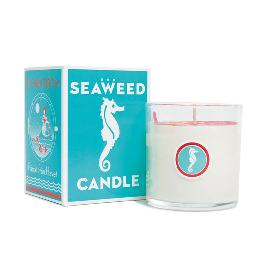 Swedish Dream® Seaweed Candle - 10oz