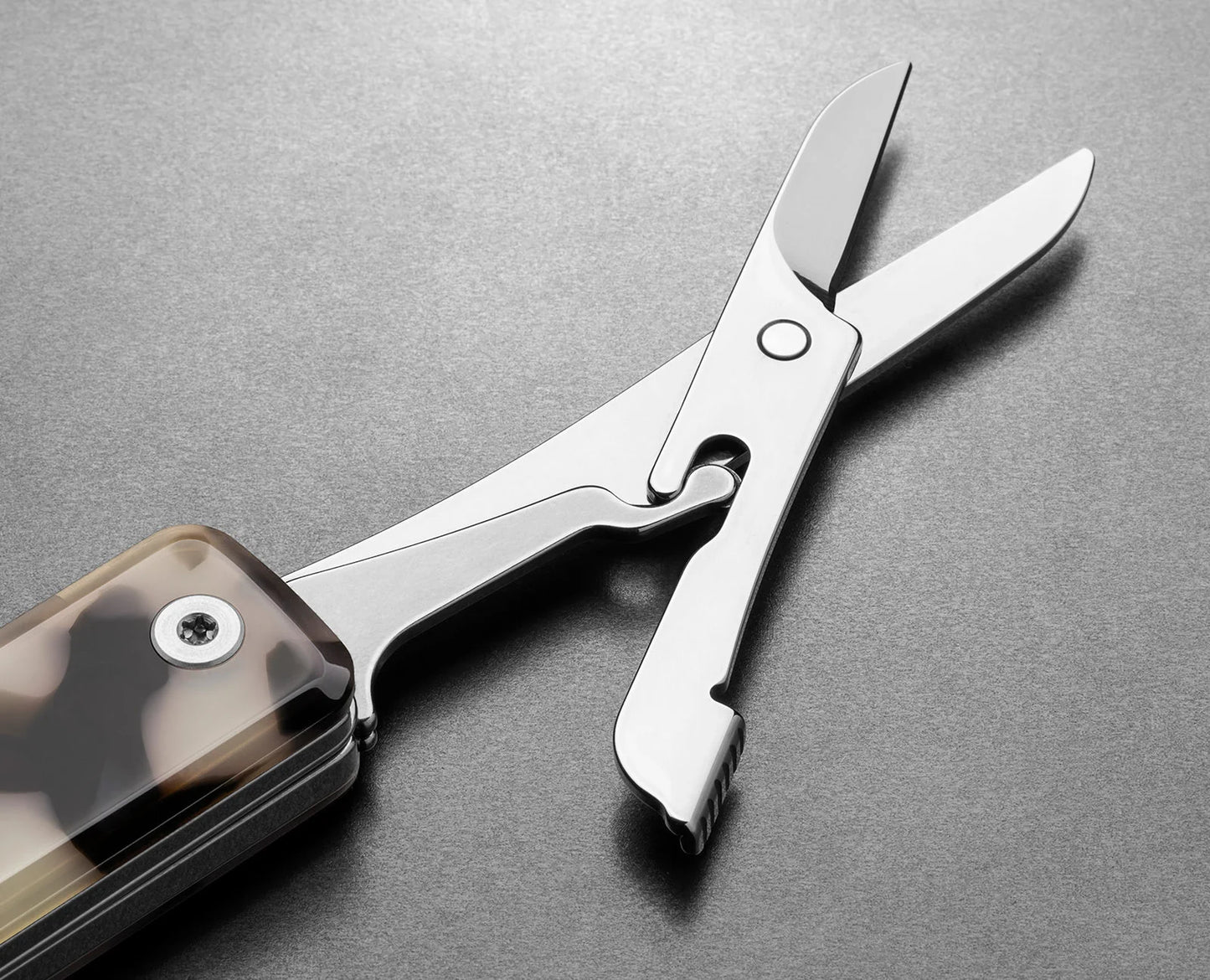 The Ellis Scissors - Desert Tortoise/Stainless - Eco-Acetite