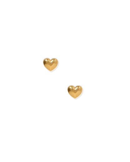Screwback Stud Earrings - Hadley Gold