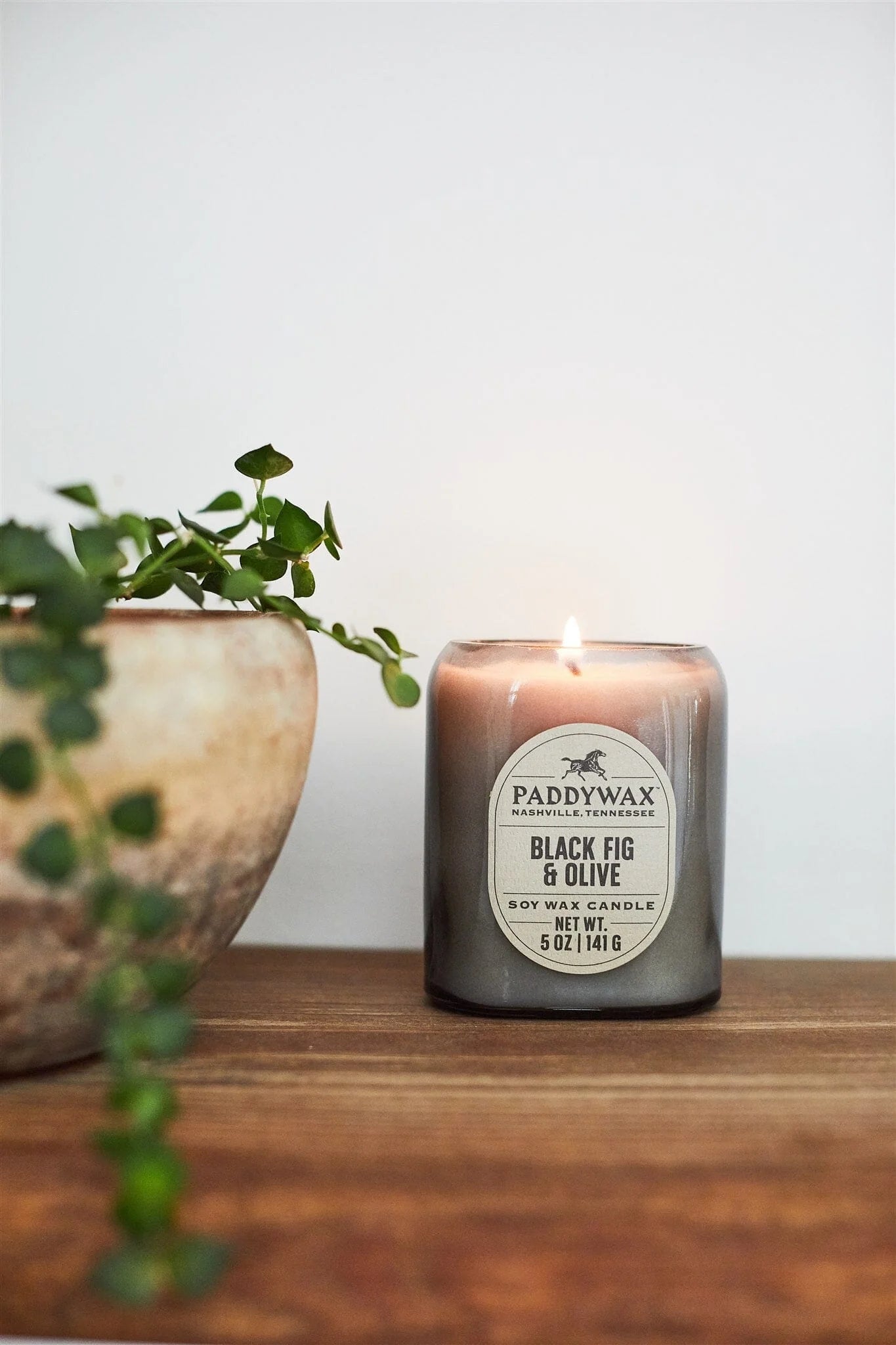 Vista 5 oz Candle - Black Fig & Olive