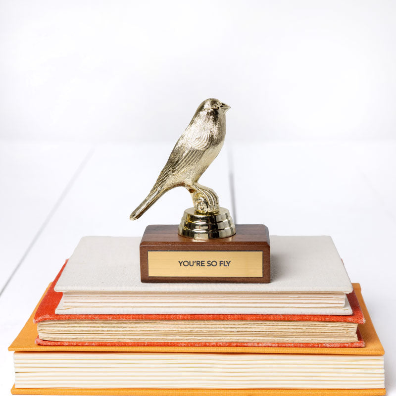 Encouragement Trophy - You're So Fly