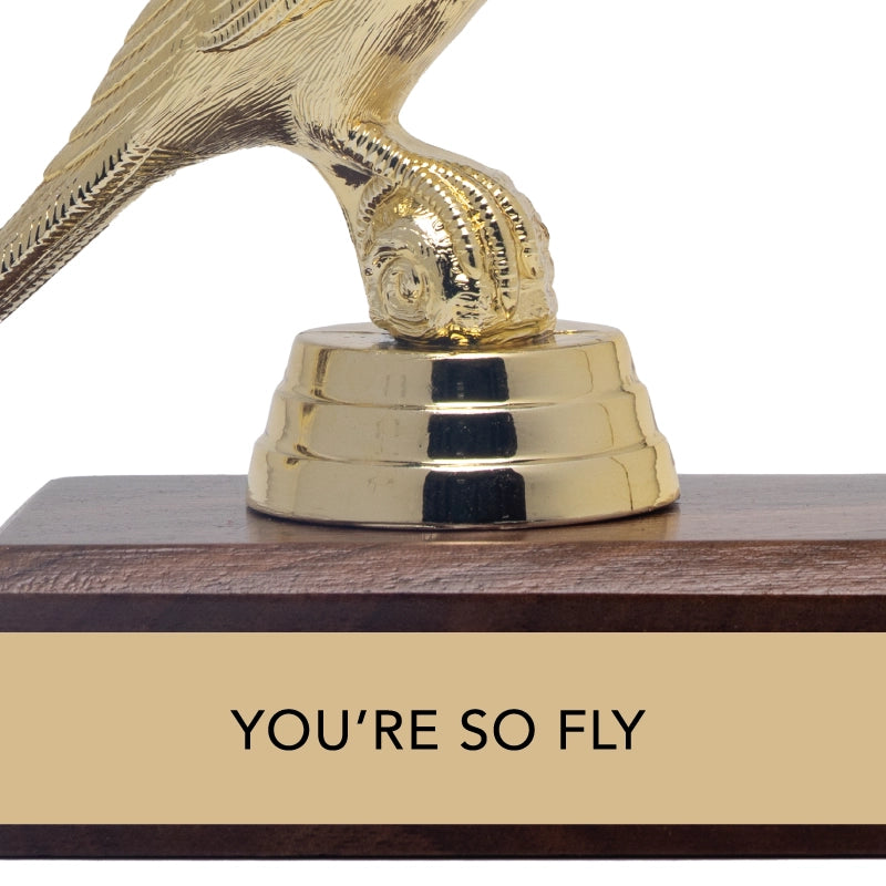 Encouragement Trophy - You're So Fly