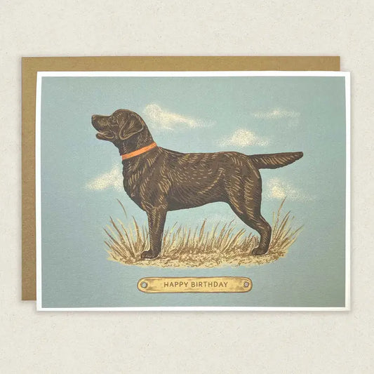 Happy Birthday Chocolate Lab Card