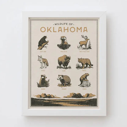 Oklahoma Wildlife Print - 11x14 (No Frame)