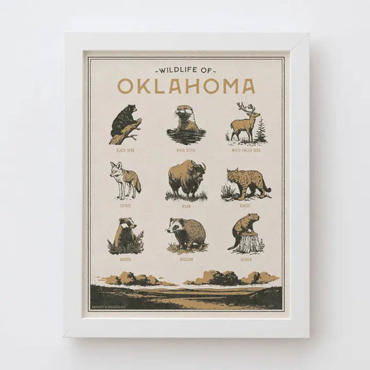 Oklahoma Wildlife Print - 11x14 (No Frame)