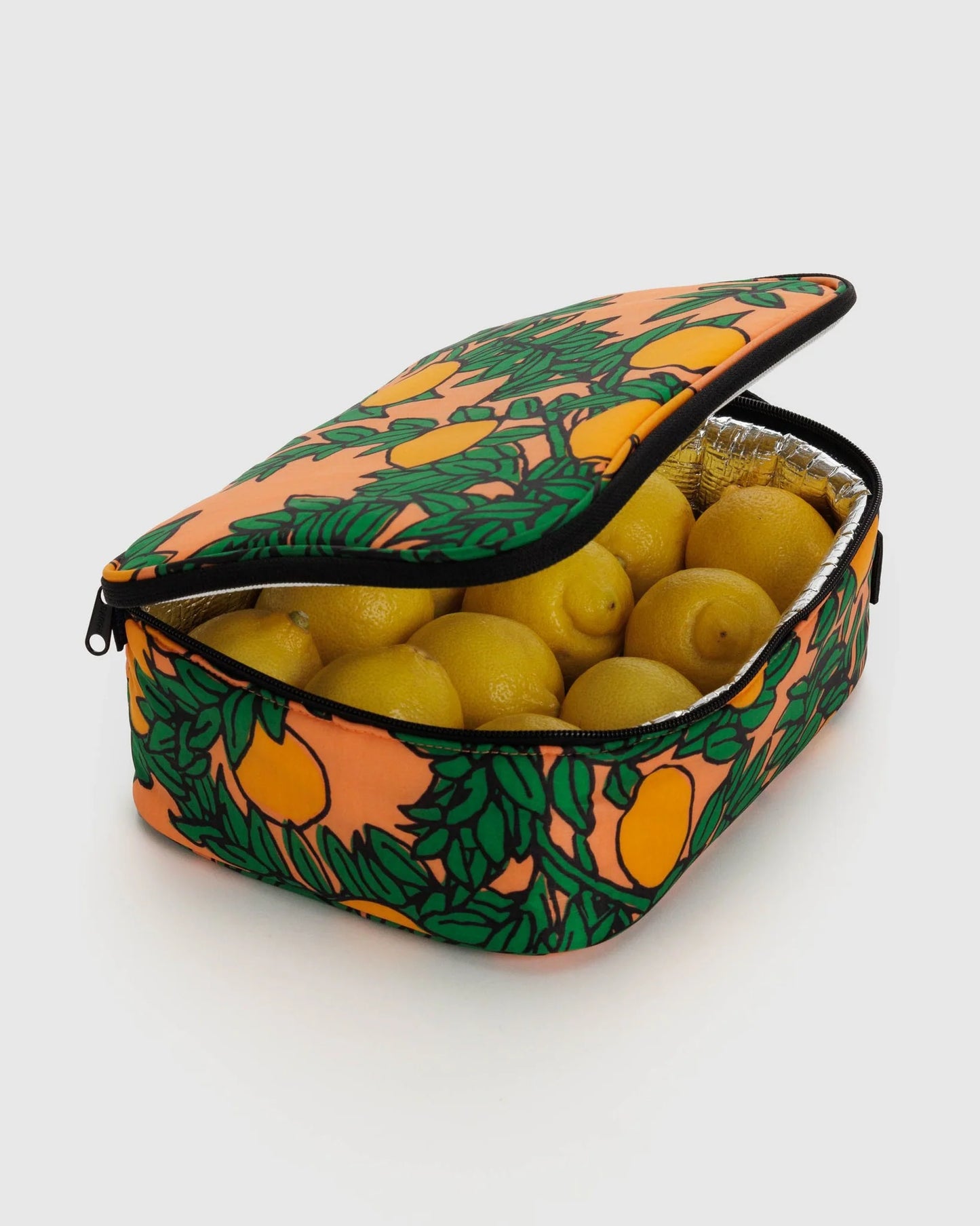 Lunch Box - Orange Tree Coral