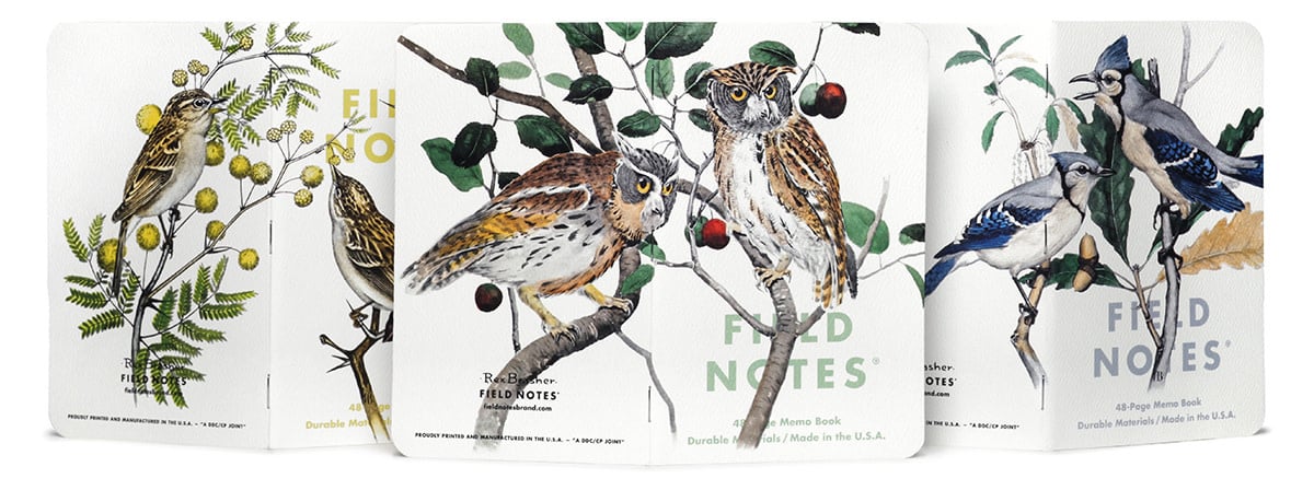 Birds & Trees of North America - Pack A of 3 (Owl)