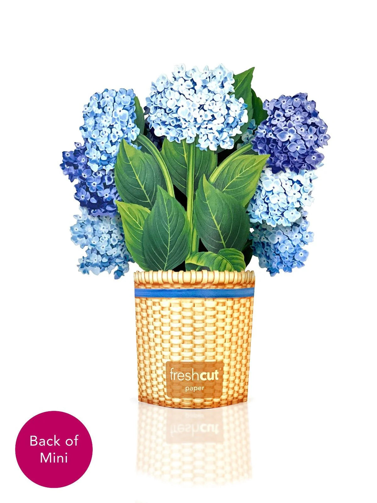 Mini Nantucket Hydrangea Pop Up Card