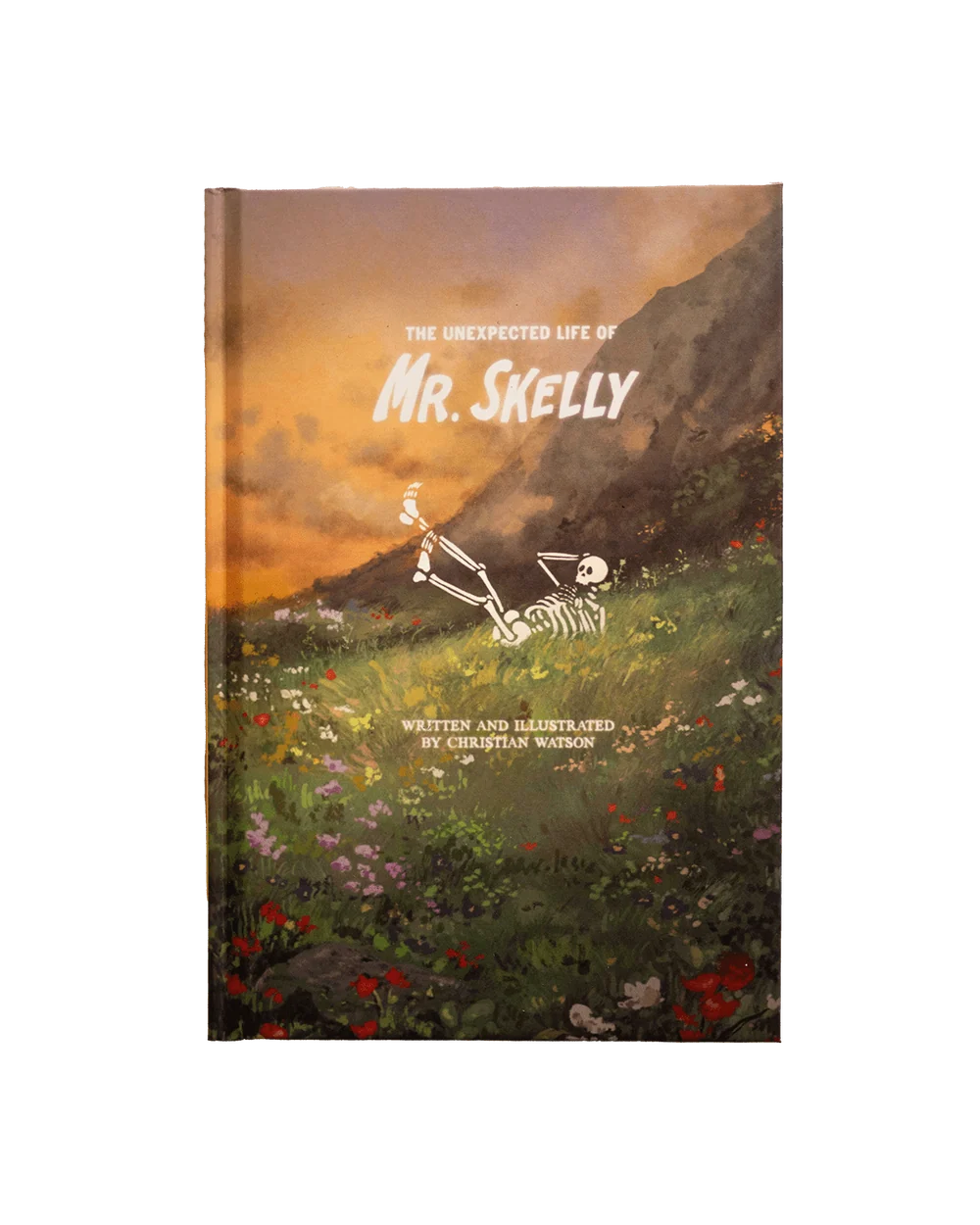 The Unexpected Life of Mr. Skelly Book