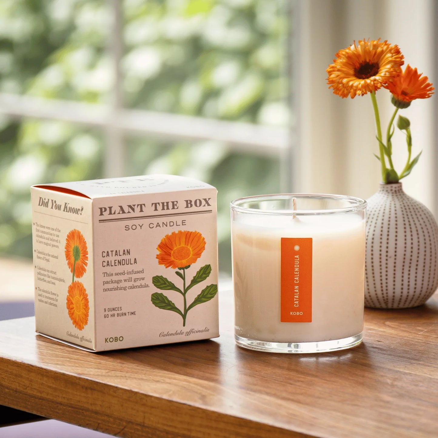 Plant The Box Candle - Catalan Calendula