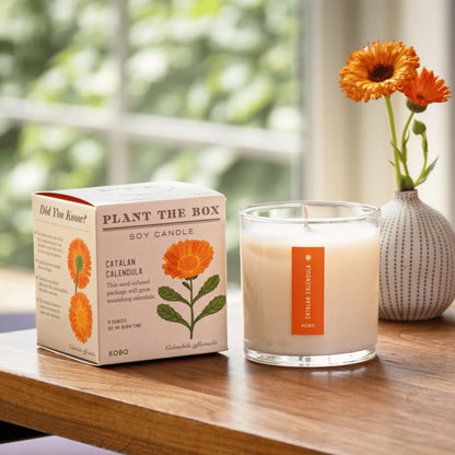 Plant The Box Candle - Catalan Calendula