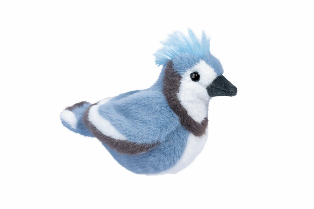 Denim Blue Jay