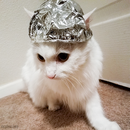 Tin Foil Hat - Cat