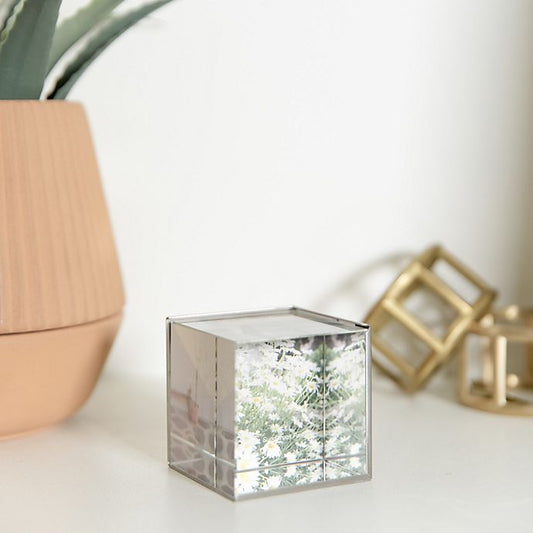 Ice Picture Frame - Nickel