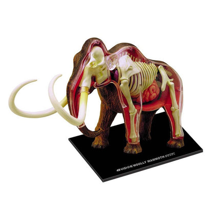 4D Wooly Mammoth Anatomy