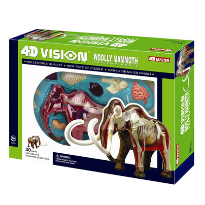 4D Wooly Mammoth Anatomy