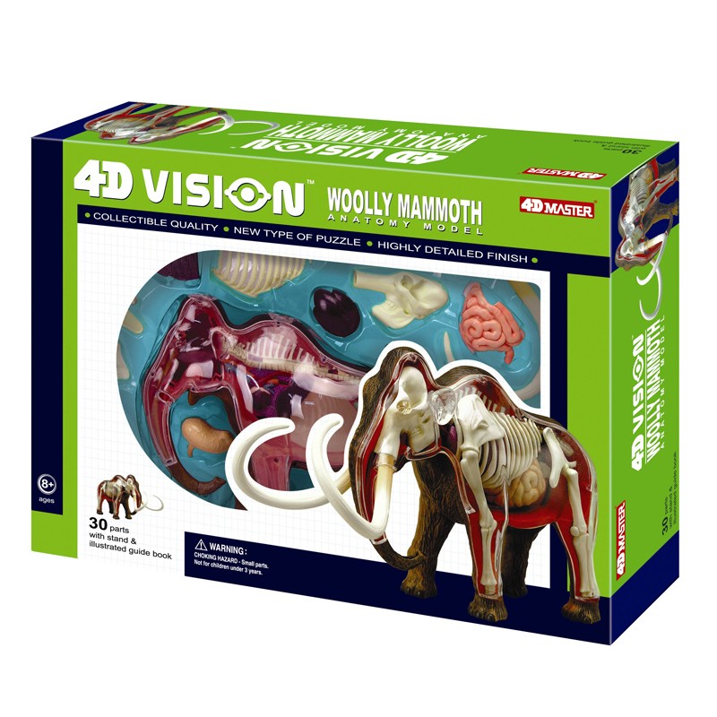 4D Wooly Mammoth Anatomy