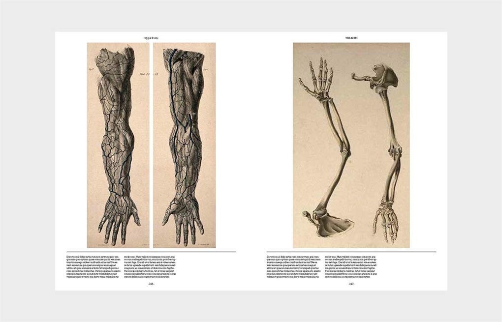 Anatomic The Exquisite & Unsettling Art of Human Anatomy