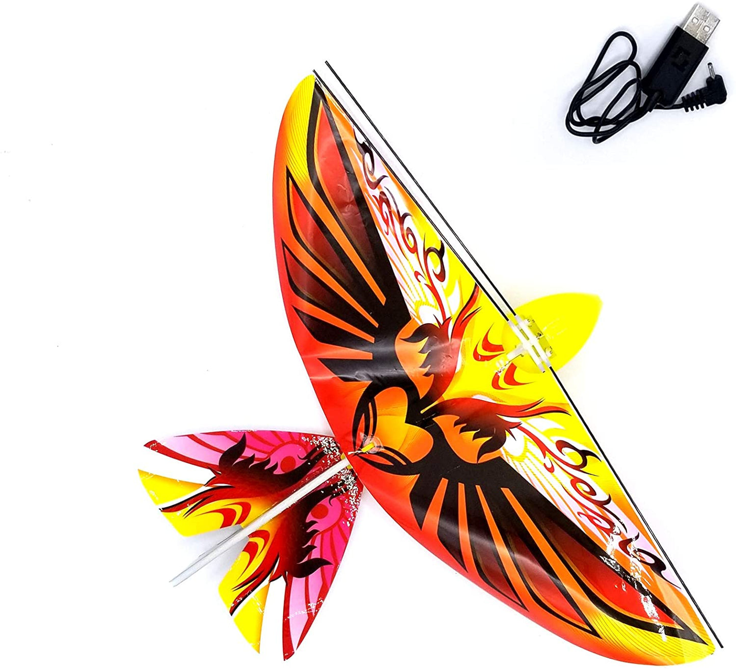 eBird Orange Pheonix