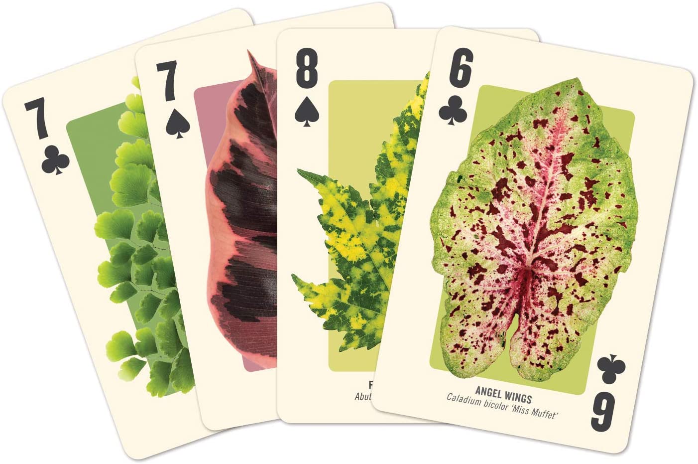 Houseplant Jungle Playing Card Set