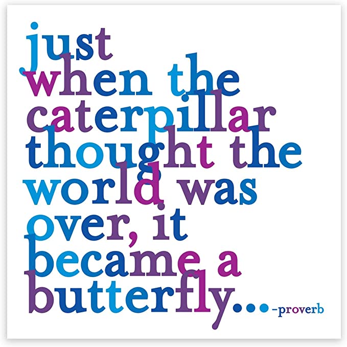 Magnet - Proverb - Caterpillar