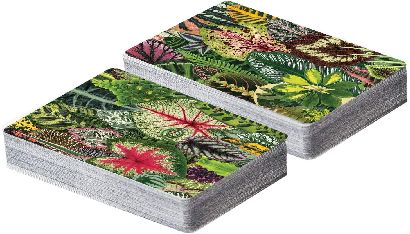 Houseplant Jungle Playing Card Set