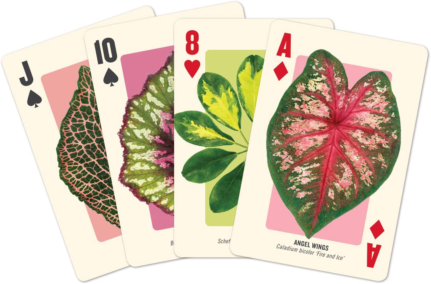 Houseplant Jungle Playing Card Set