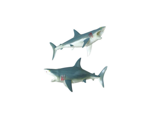Squeaky Sharks