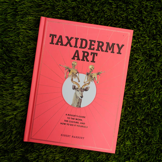 Taxidermy Art