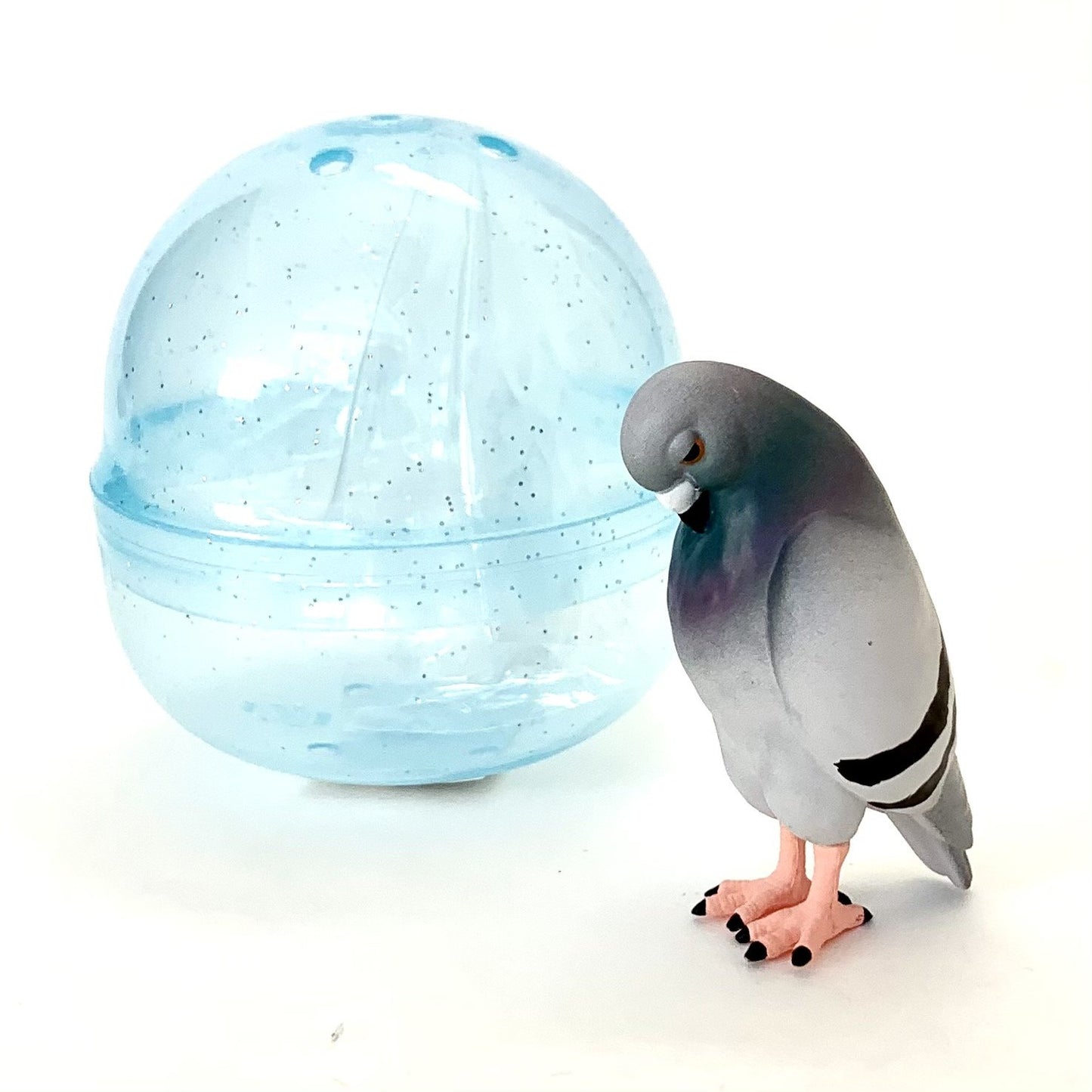 Tired Pigeon In Capsule