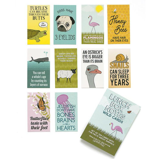 Wild Card Lunch Notes