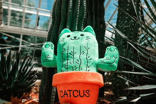 Catcus Plush