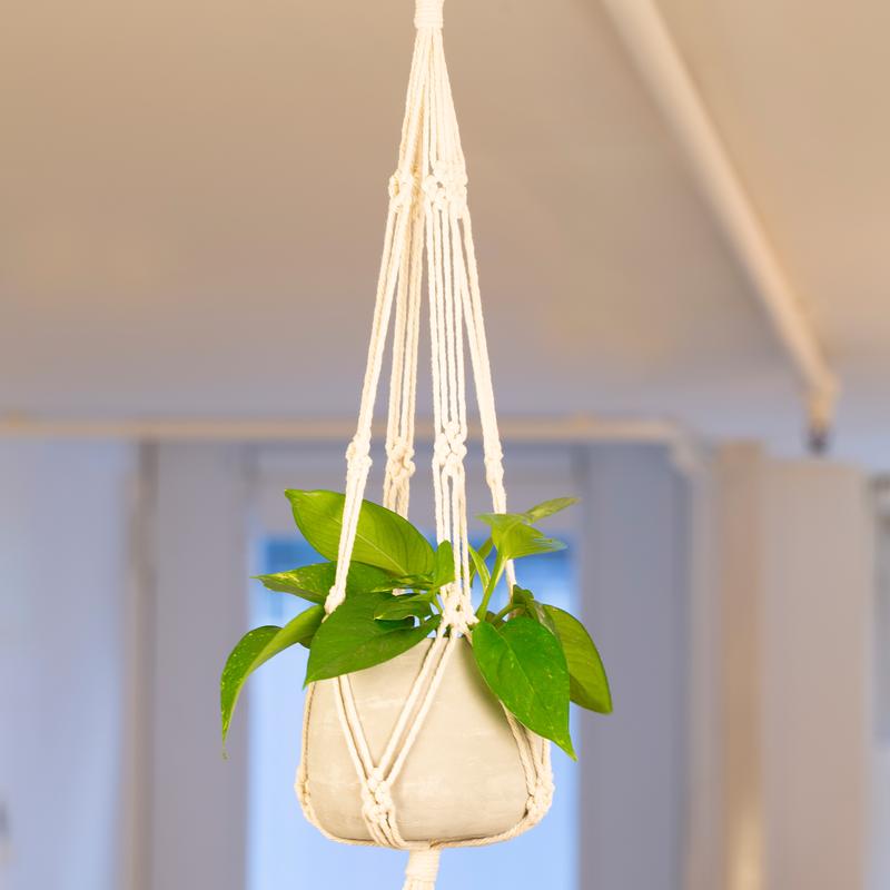 Beige Macrame + Cement Planter