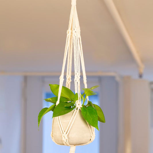 Beige Macrame + Cement Planter