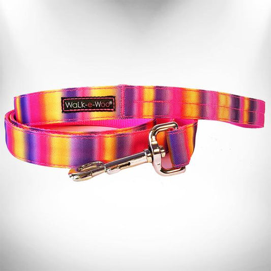 1" Tie Dye Leash Pink/Purple