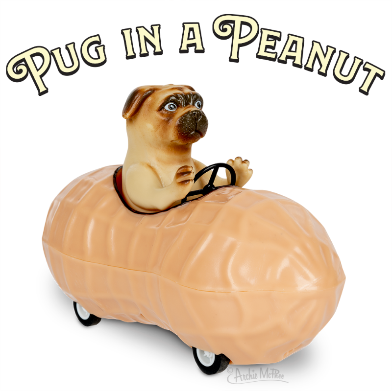 Racing Pug in a Peanut
