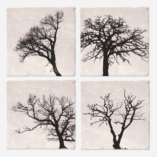 Trees of Life Coasters