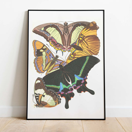 Vintage Bright Butterfly Print