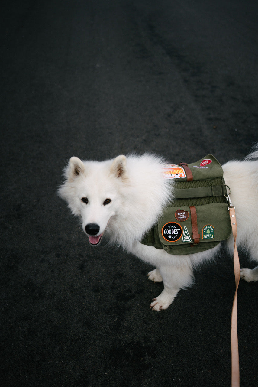 The Goodest Boy Embroidered Patch