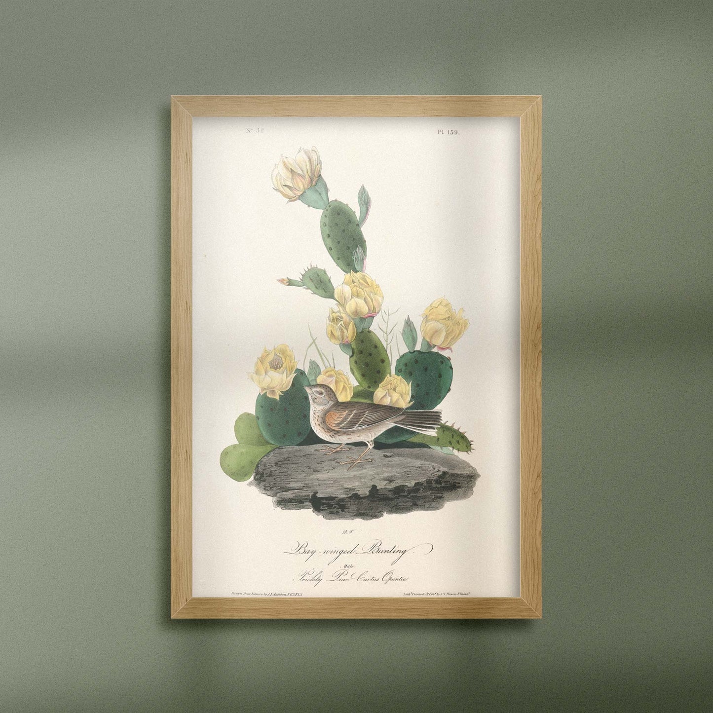 Vintage Bird & Cactus Print