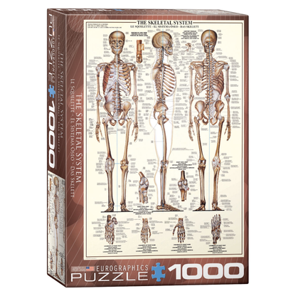 The Skeletal System 1000PC Puzzle