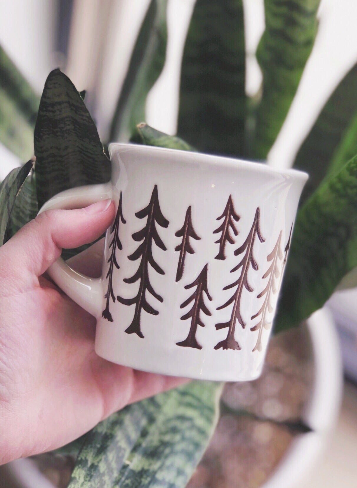 Cuppa This Cuppa That Pine Trees