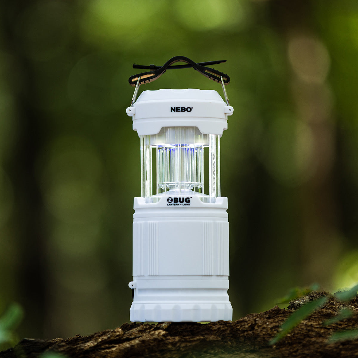 Z Bug Lantern + Light