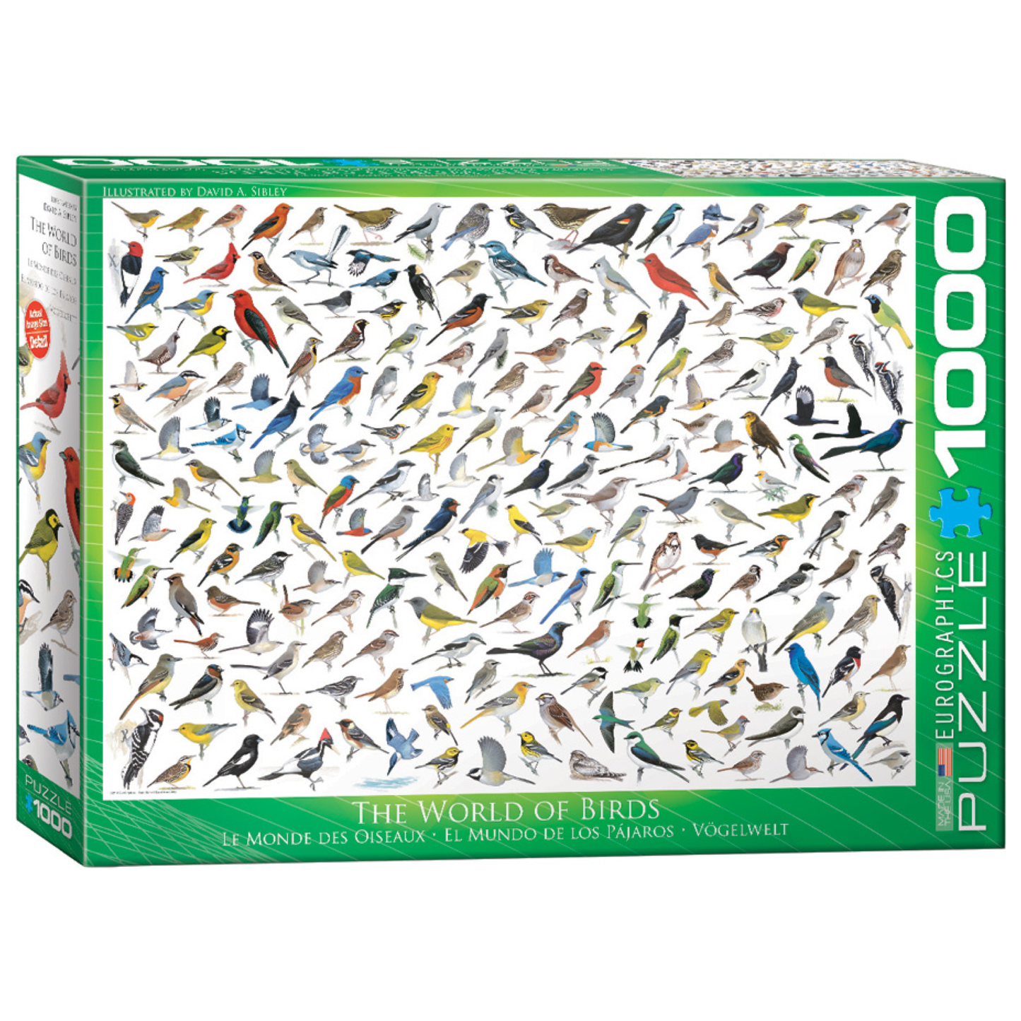 The World of Birds 1000PC Puzzle