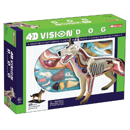 4D Dog Anatomy