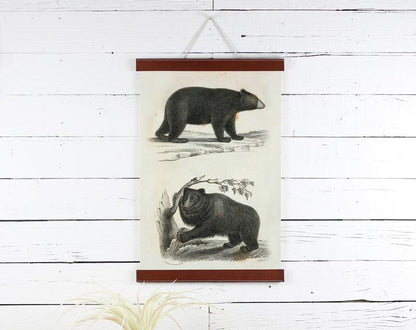 Bear Print 12x18