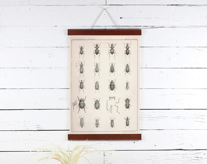 Bugs Print 12x18
