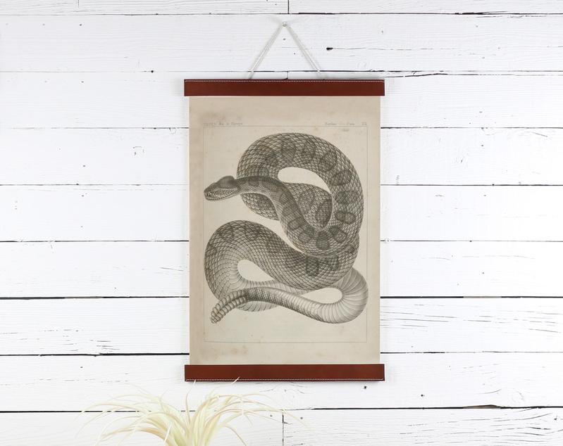 Snake Print 12x18