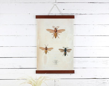 Bees Print 12x18