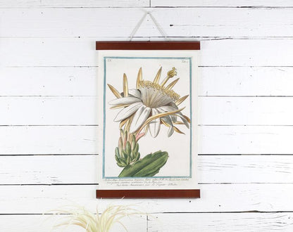 Cactus Flower Print 12x18